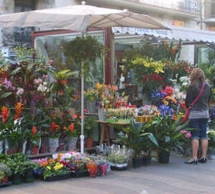 Kwiaty na ramblas