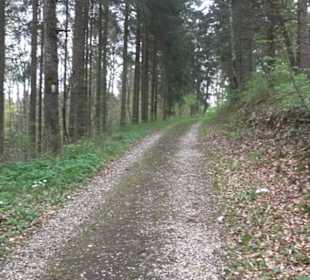 Premiumwanderweg Hochgebürzelt