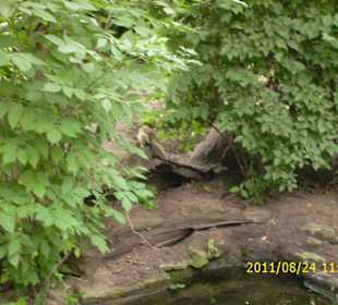 Besuch im Berliner Zoo