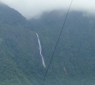 Ausflug Wildfife Expeditions- Rastplatz