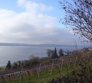 Bodensee bei Klosterkirche Birnau