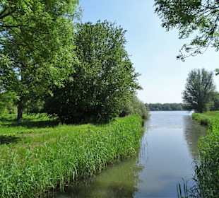 Fleete des Krimpelsees