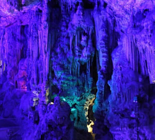 Ausflug nach Gibraltar 