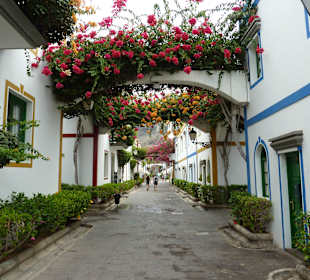 Prachtvolle Blüten überall