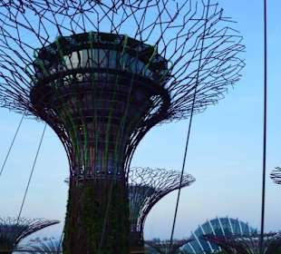 Gardens by the Bay