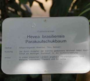 Anlage Planten un Blomen