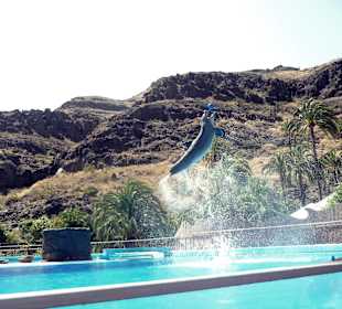 Tierpark in der Nähe