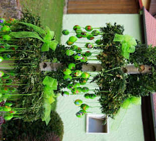 Osterbrunnen Ebersdorf 4versch.Farben