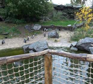 Tierpark