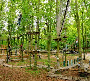AbenteuerPark Potsdam: Blick in den Kletterpark