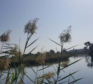 Wandern Side - Titreyengöl