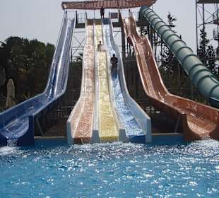 Speed bei bestem Wetter