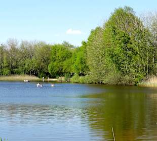 Impressionen vom Rundweg um den Oyter See