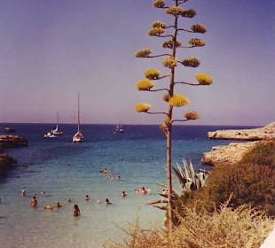 Bucht Sa Caleta
