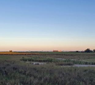 Ein Teil vom Naturschutzreservate 