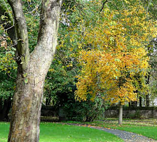 Impressionen aus dem herbstlichen Schlosspark