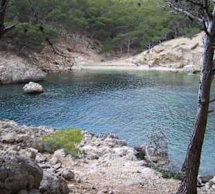 Bucht bei Cala Fornell