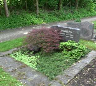 Neuer Friedhof