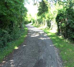 HAP Grieshaber Rundweg