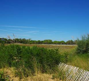 Weites Gebiet Naturschutz