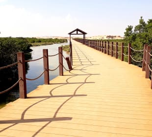 Al Thakira Mangroves