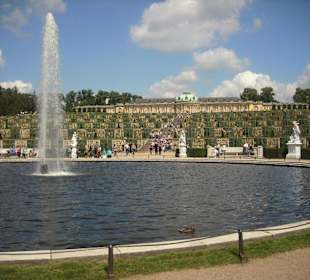 Blick auf Schloss Sansscouci