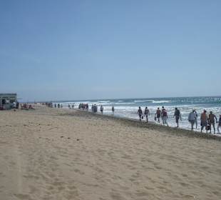 Entlang den Dünen von Maspalomas