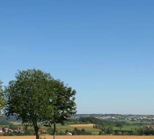 Naturschutzgebiet Forchenkopf Wittlensweiler