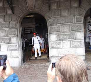 Fertig gewogen und ab gehts