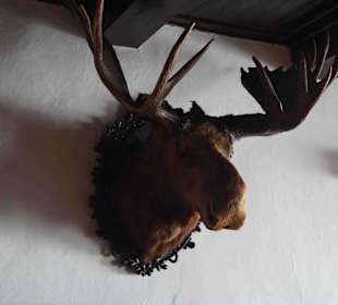 Karkonoski Park Narodowy