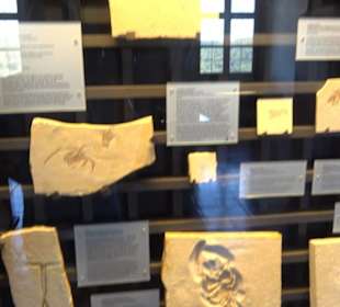 Jura-Museum