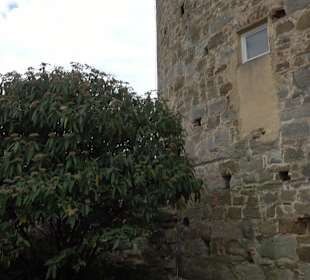 Schloss ob Ellwangen