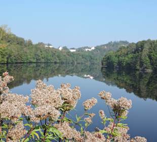 Schloss Burgk mit Spiegelung in der Saale