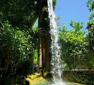 Düden der Wasserfall/Park