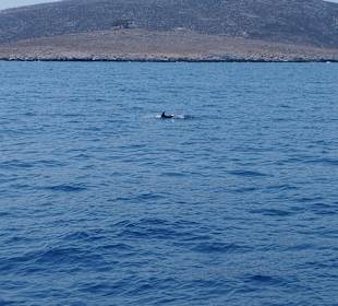 Schifffahrt 3 Insel Tour Kos 