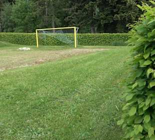 Volleyballplatz Cresbach