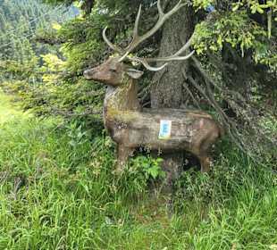 Wandern Kaprun