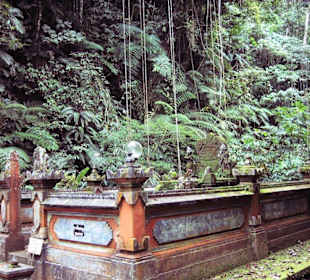 Tempel im Regenwald