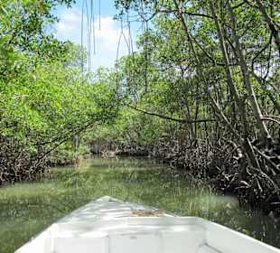 Ausflug Nationalpark "Los Haitises"