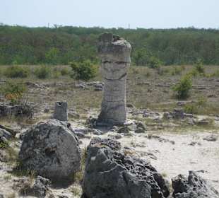 Steinwaldgelände irgendwo in der nähe von Varna