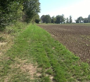 Kelten-Erlebnis-Pfad Erkenbrechtsweiler