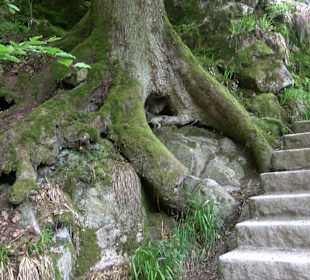 Wasserfälle Allerheiligen