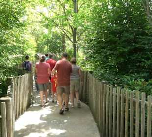 Land der Abenteuer - Dschungel X-pedition