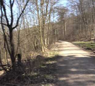 Premiumwanderweg "hochgeblickt"