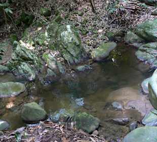 Der Beginn des Zugangs zum Wasserfall