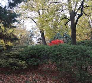 Parkanlage Planten un Blomen