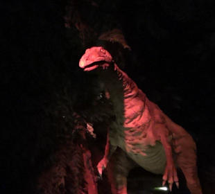 Themenbereich Frankreich