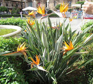 Kathedrale Maria Santissima Assunta