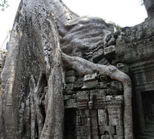 Ta Prohm