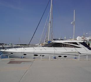 Hier tummelt sich alles 